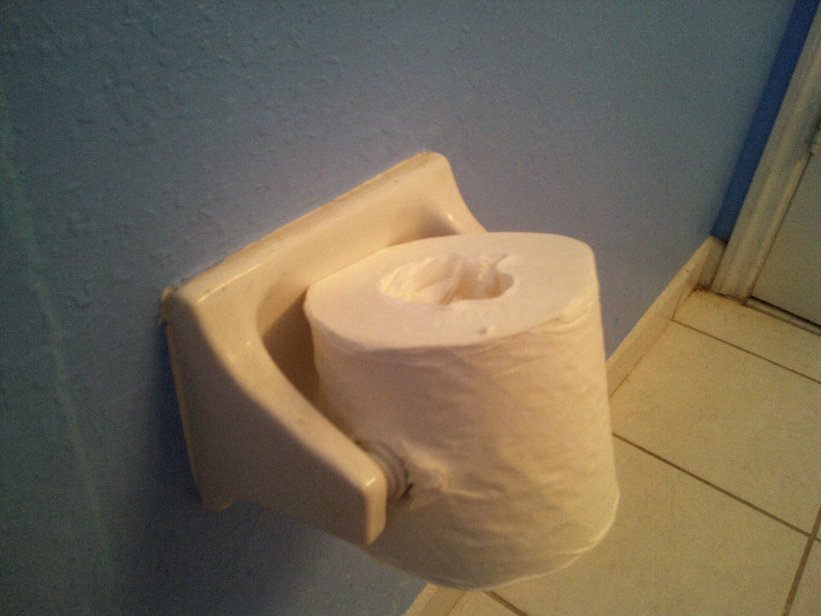 Toilet paper fan pic