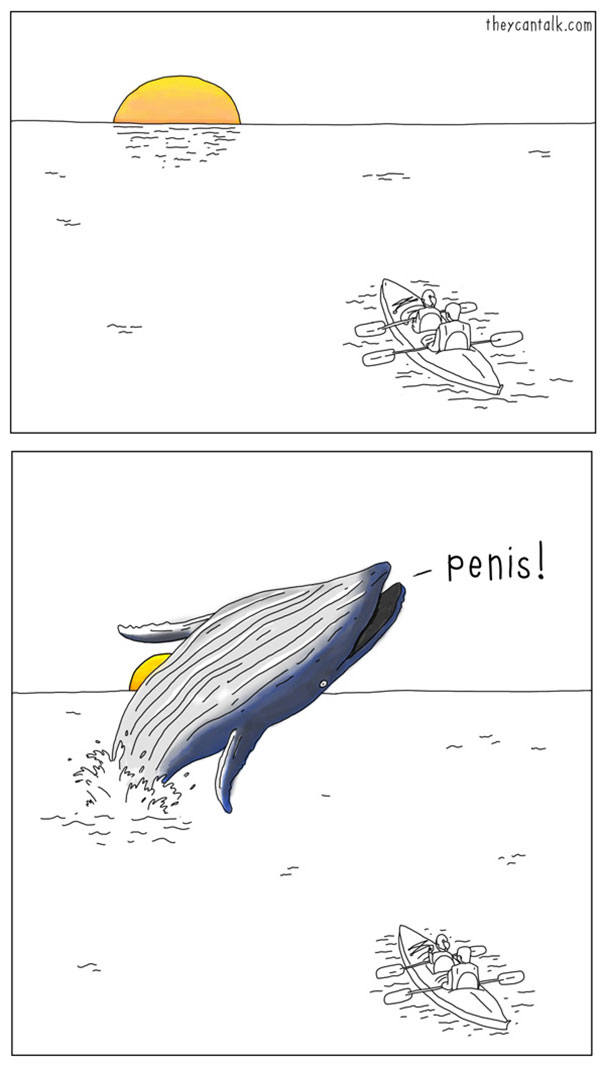 animaux-parler-14