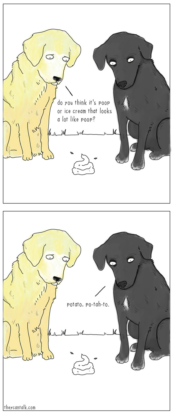 animaux-parler-16