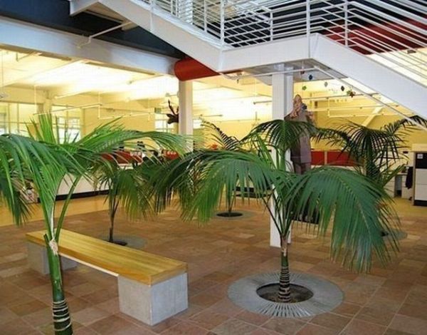 bureaux-youtube-13