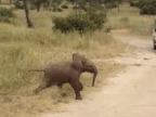elephanteau-traverse-route