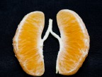 orange-poumons