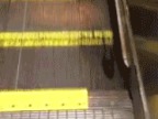 souris-sur-escalator