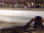 mettre-main-gueule-crocodile-peur