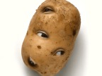 patate-yeux