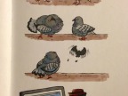 pigeon-friendzoned