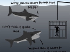 requins-sont-gentils