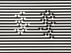 illusion-lignes