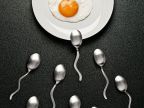 course-cuilleres-oeuf