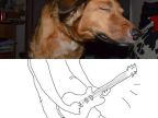 chien-fond-sur-guitare