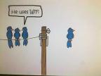 oiseau-utilise-wifi