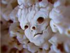 visages-flippants-popcorn