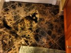 jai-failli-perdre-mon-chat-dans-salle-bain
