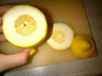 mauvais-citron