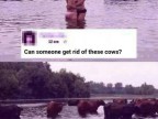 quelquun-peut-enlever-ces-vaches-avec-photoshop