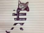 chat-grimpe-lignes-feuille-papier