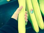 bananes-longues