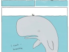 oiseau-baleine-respirer