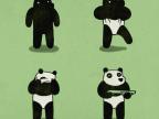 panda-cambrioleur