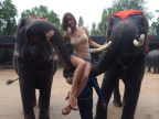 fille-assise-trompes-elephants