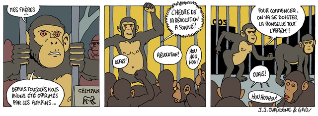 revolution-des-singes