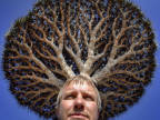 cheveux-arbre