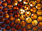 soleil-travers-cellules-hexagonales-ruche-abeilles