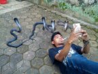 selfie-serpents