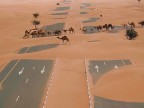 dromadaires-traverser-autoroute-desert