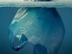 sac-plastique-iceberg