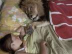 dormir-avec-lion-lit