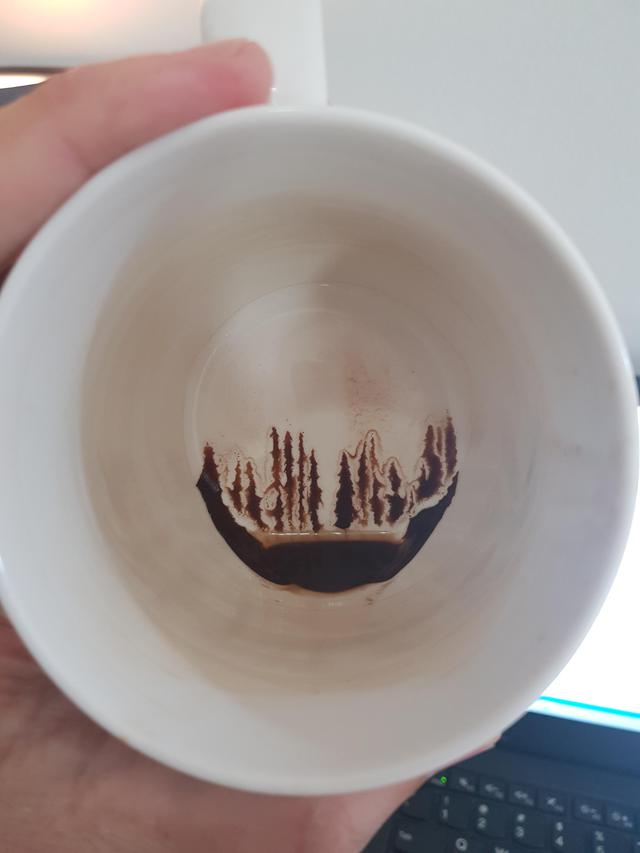 foret-marc-cafe