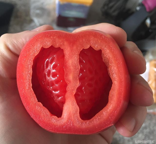 fraise-dans-tomate