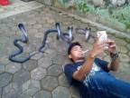 selfie-avec-serpents