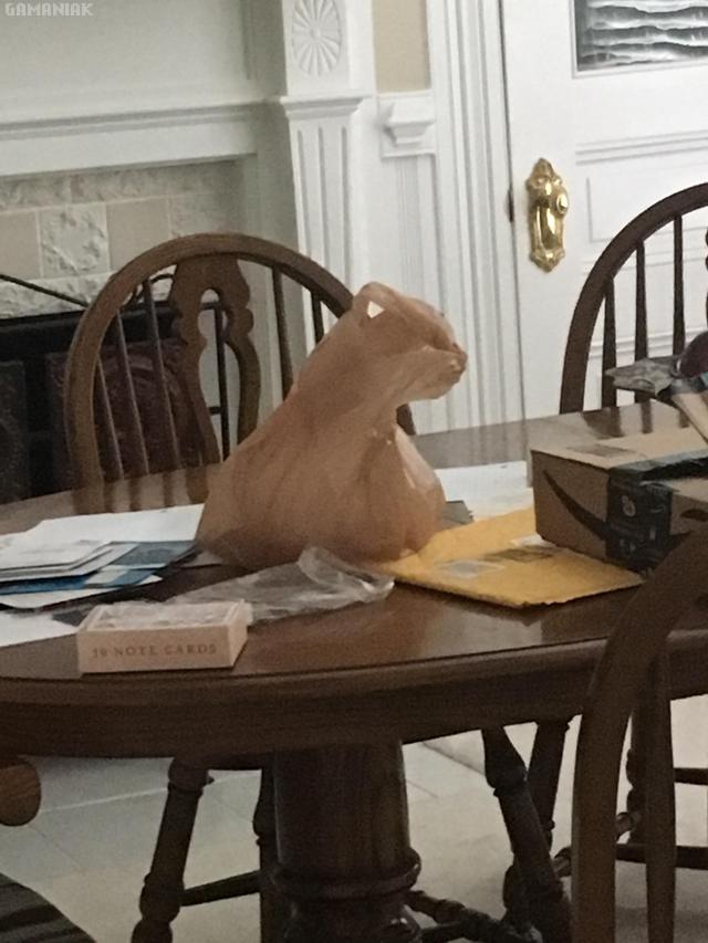 Un sac plastique qui a la tête d'un chat sac-plastique-tete-chat
