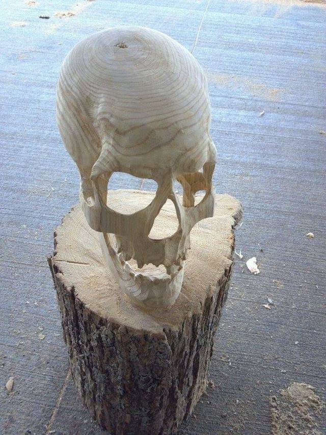 Un crâne sculpté dans le tronc d'un arbre crane-sculpte-tronc-arbre