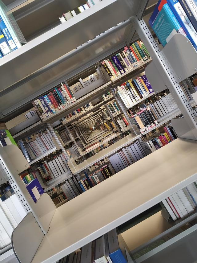 long-vide-etageres-bibliotheque
