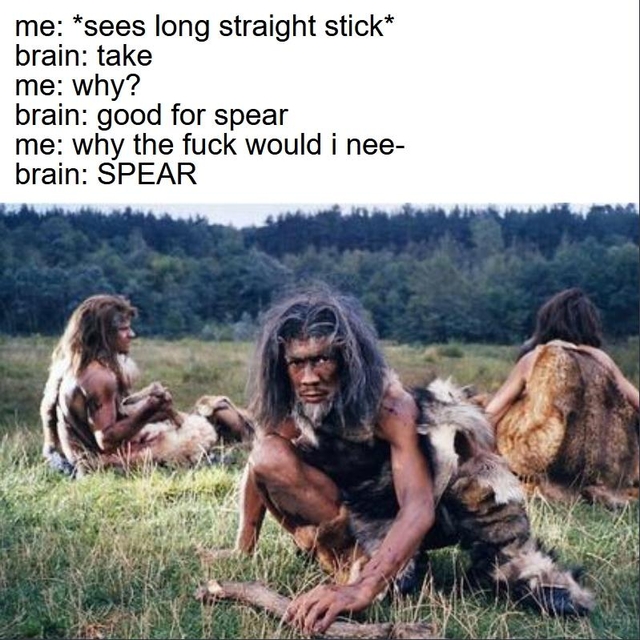 brain-stick-spear