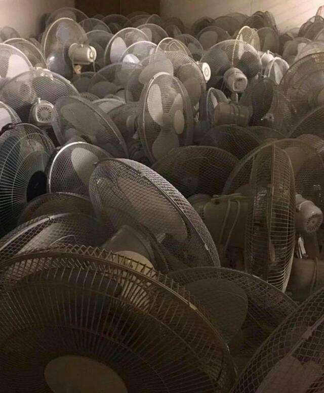 only-fans