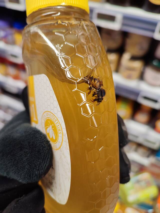 abeille-morte-bouteille-miel