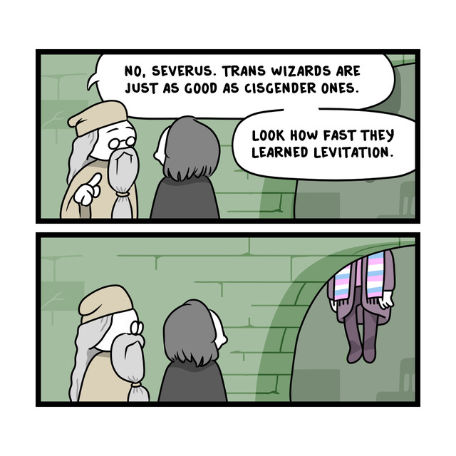 trans-wizards