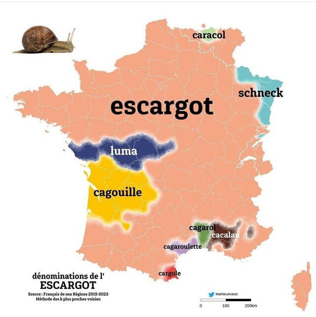 nom-escargot-regions-france