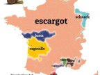 nom-escargot-regions-france