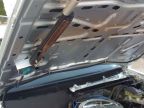 fusil-pompe-sous-capot--voiture