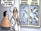 sperme-evolue