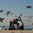 miniature pour Entourés de mouettes à la plage