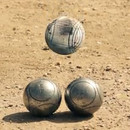 miniature pour Dragon Boules