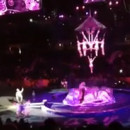 miniature pour Neuf acrobates d'un cirque grièvement blessés dans une chute