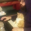 miniature pour Une lutte que seuls ceux qui ont un chat peuvent comprendre