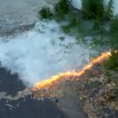 miniature pour Des graines de peuplier en feu